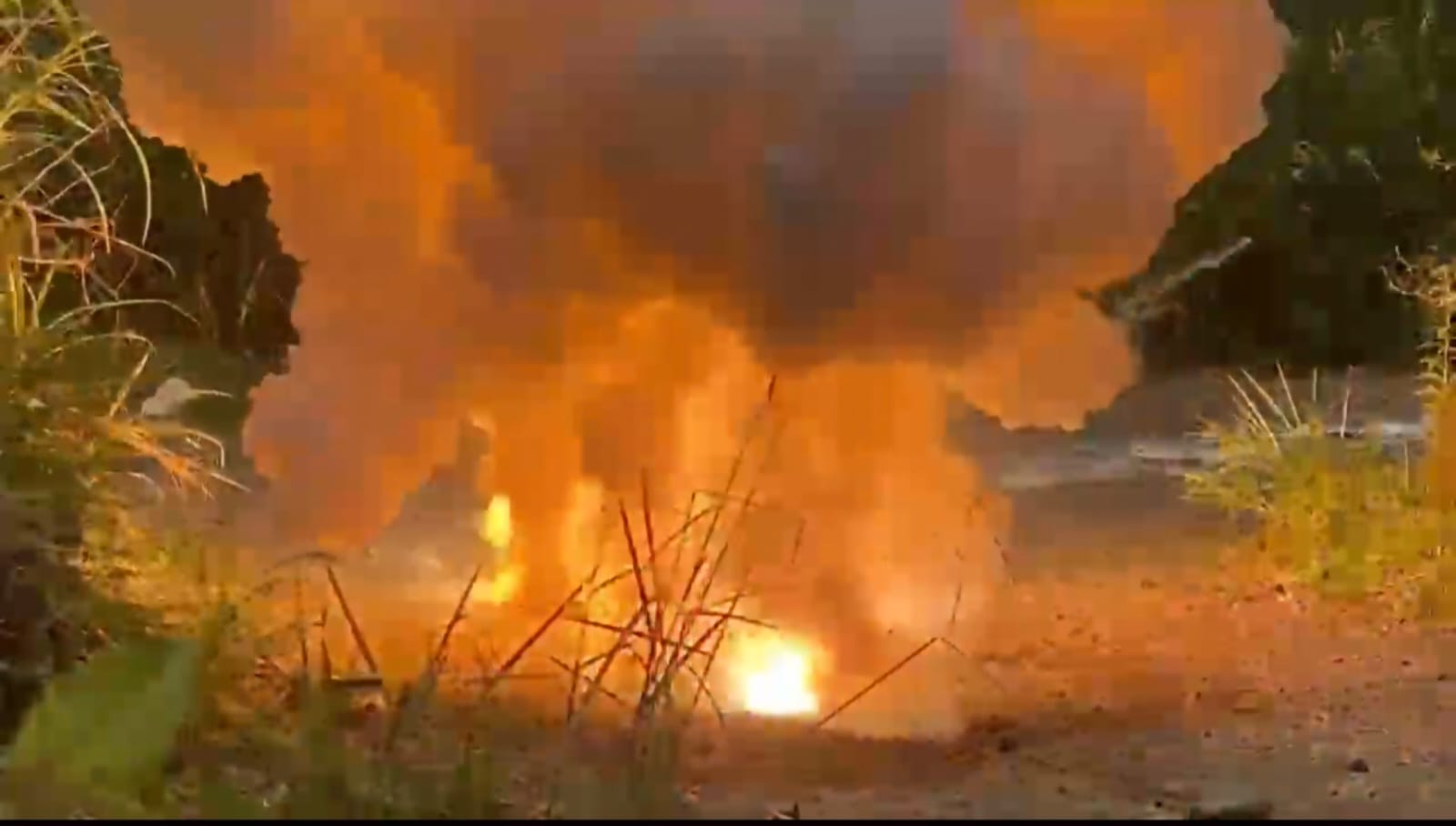 14267a6d d2be 44d2 a1aa 3db516ac96c1