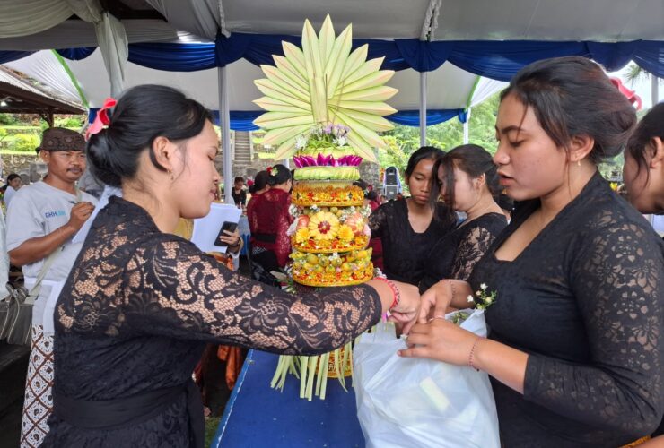 WhatsApp Image 2025 03 23 at 20.00.55