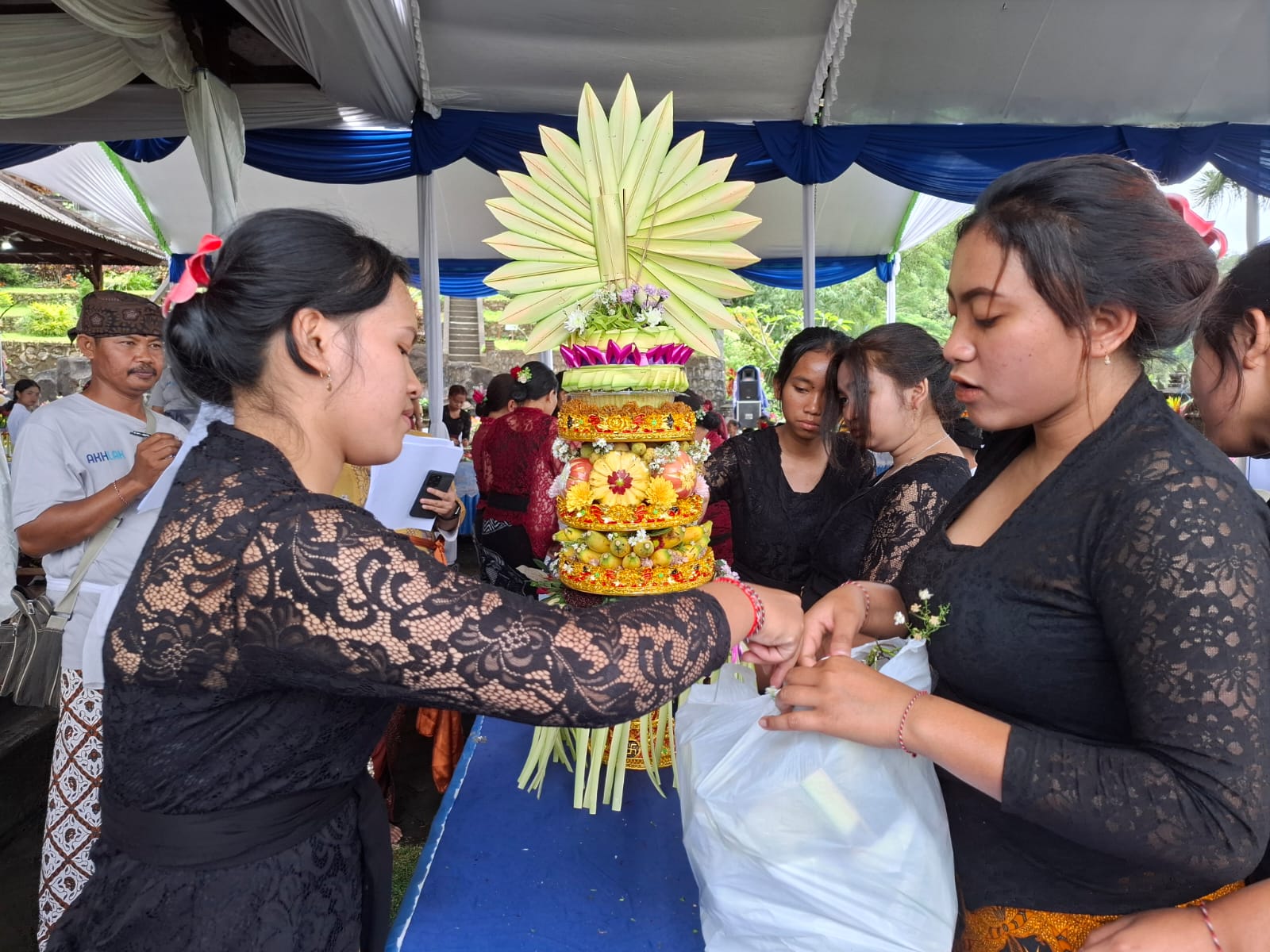 WhatsApp Image 2025 03 23 at 20.00.55