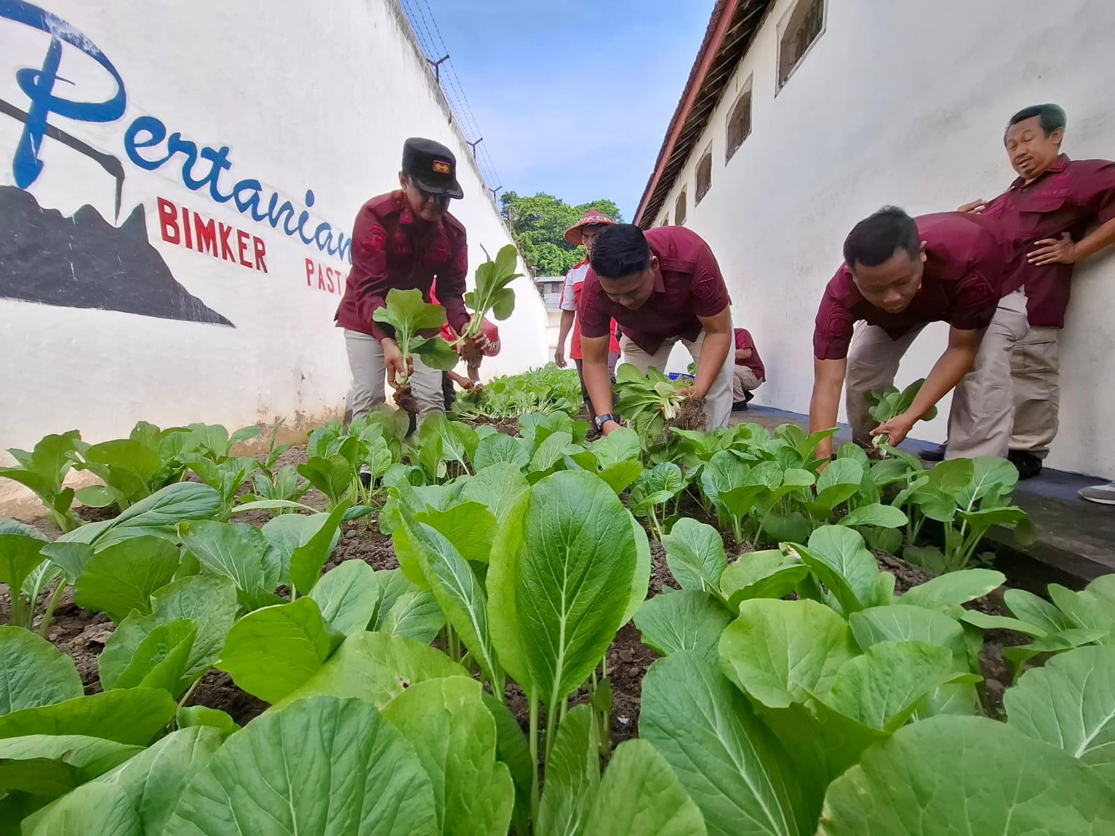 Keren, Lorong Sempit Dalam Lapas Berhasil Disulap Jadi Lahan Pertanian dan Perikanan 3 IMG 20250522 WA0007
