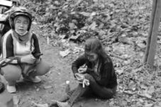 Begal Beraksi di Hutan Jati Blitar, Sikat Motor dan Hp, Lukai Korban