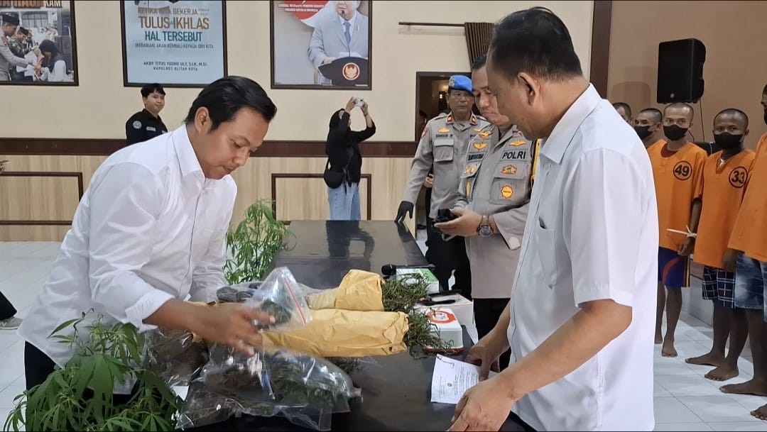 Polisi menunjukkan barang bukti ganja kering dan pohon ganja sitaan dari pelaku budidaya ganja Krisik (Novianto, tagarjatim.id)