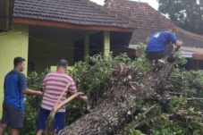 19d791f3 d98b 4c50 9616 c4a1a519a61a