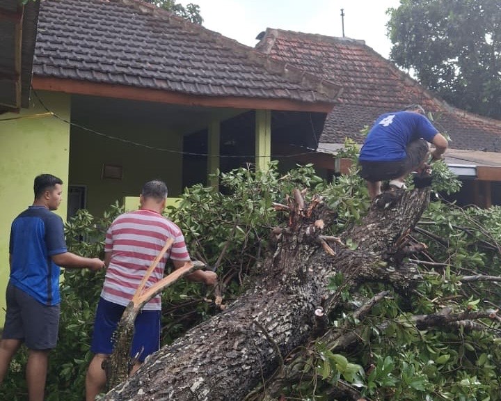 19d791f3 d98b 4c50 9616 c4a1a519a61a