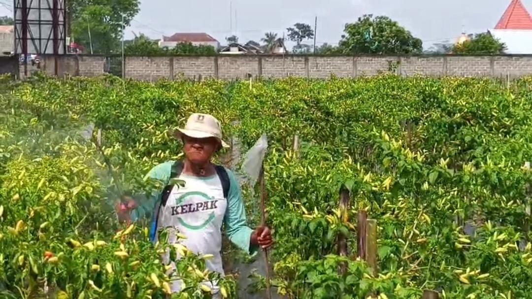 b680a8d8 0b1f 4a10 b82c a0a8f72e7052