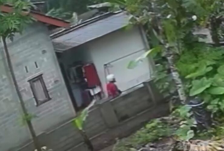 7fc63f17 0fd4 49e5 ba66 0e9230ca9b79