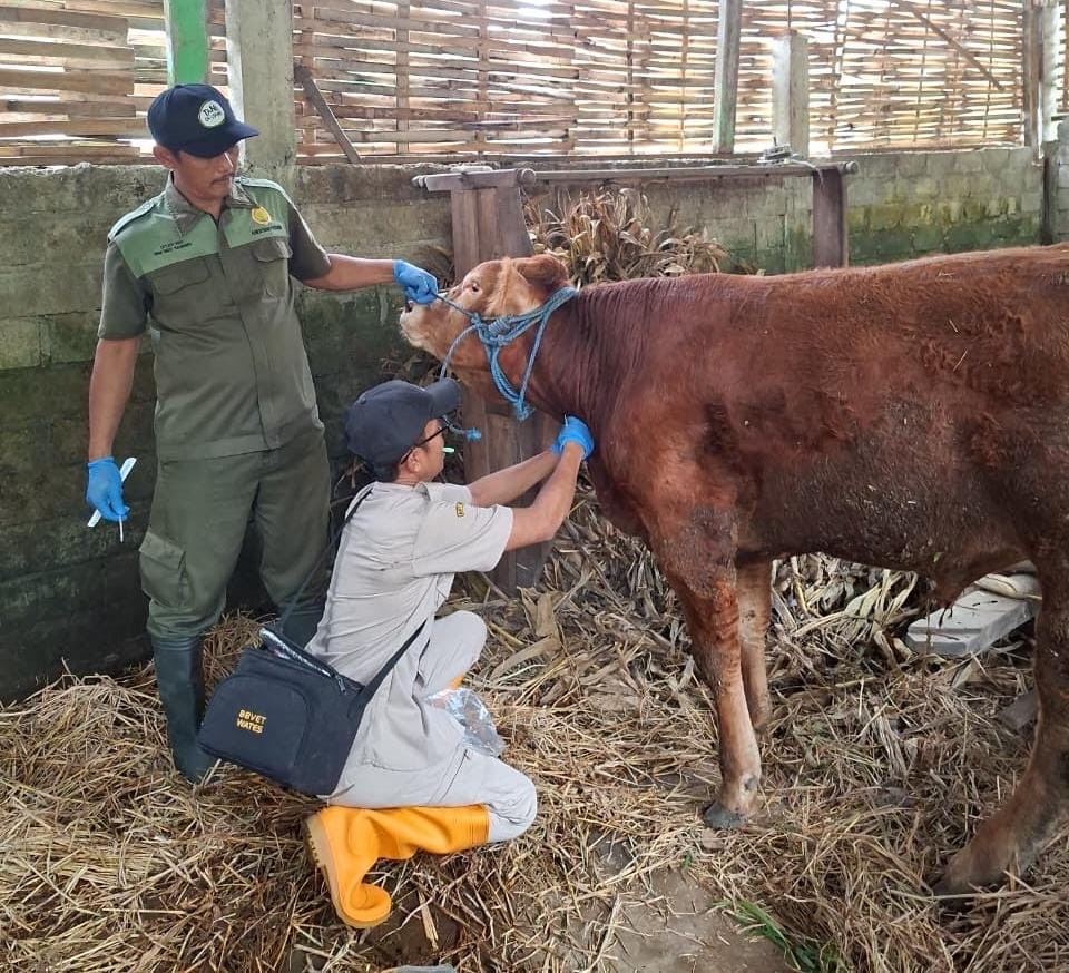 09429eec c7b6 47cf 8cc7 3e299c23dff4