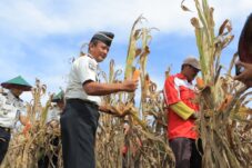 Lapas Blitar Salurkan Hasil Panen Jagung dan Terong untuk Korban Bencana Sumatera 11 f955fcfd d7f1 40a6 b295 dcd54b3214ea