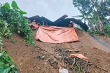 Tertimbun Longsoran Tebing, Pencari Rumput Meregang Nyawa